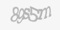 Säkerhetskod