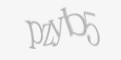 Säkerhetskod