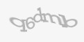 Säkerhetskod