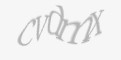 Säkerhetskod