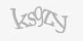 Säkerhetskod