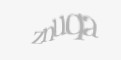 Säkerhetskod