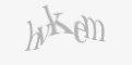 Säkerhetskod