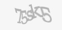 Säkerhetskod