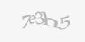 Säkerhetskod