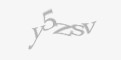 Säkerhetskod