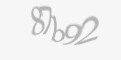 Säkerhetskod