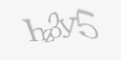 Säkerhetskod