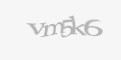 Säkerhetskod