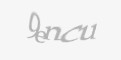 Säkerhetskod