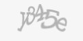 Säkerhetskod