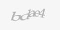 Säkerhetskod