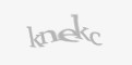 Säkerhetskod