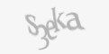 Säkerhetskod