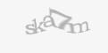 Säkerhetskod