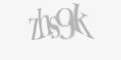 Säkerhetskod