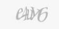 Säkerhetskod