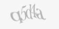 Säkerhetskod