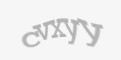 Säkerhetskod