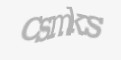 Säkerhetskod