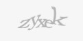 Säkerhetskod