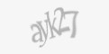 Säkerhetskod