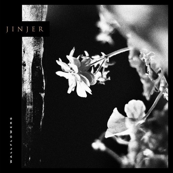 jinjerwallflowers